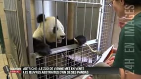 Bonne nouvelle: vous pouvez vous offrir une peinture... de panda