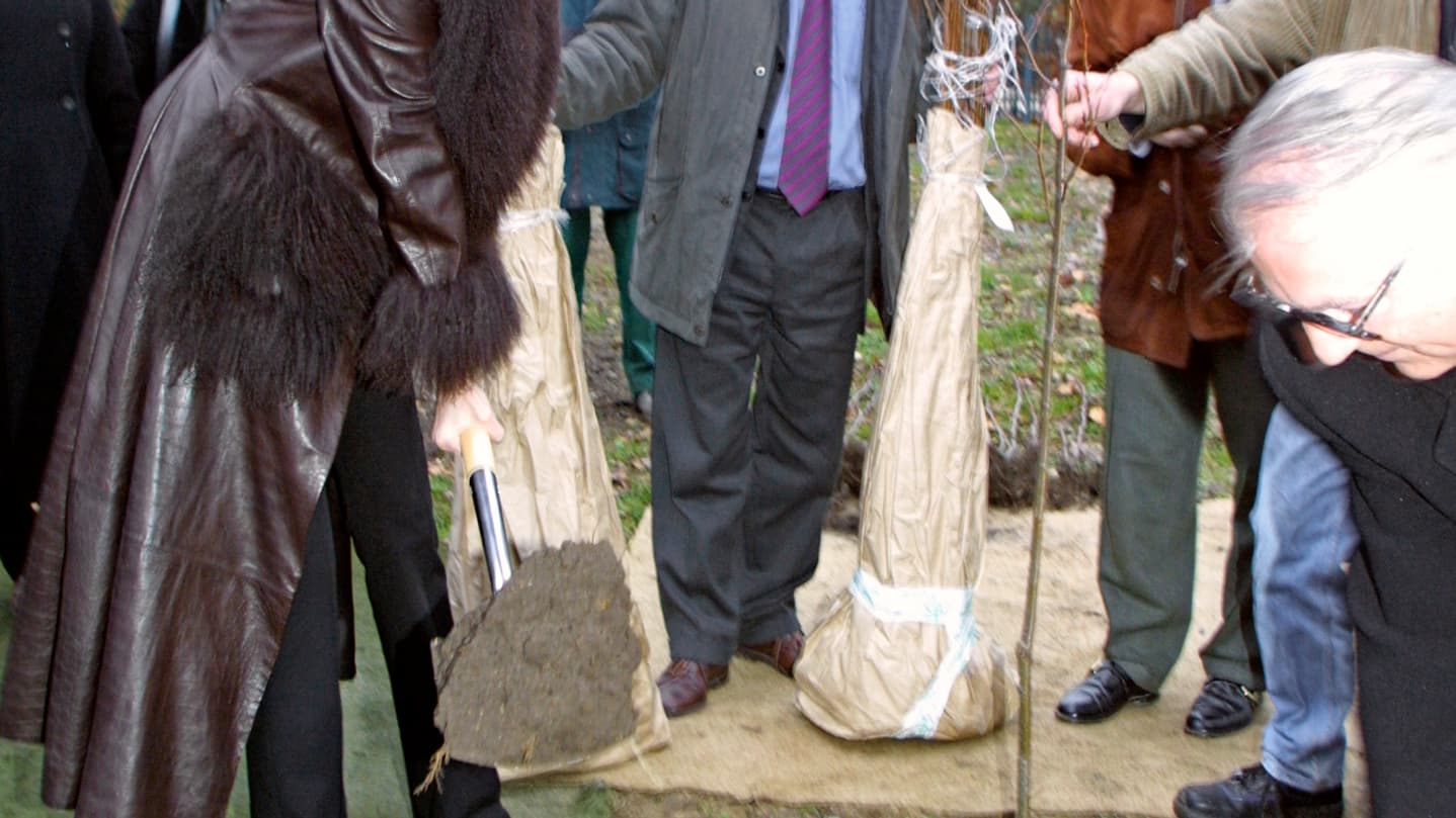 Adriana Karembeu plante, dans le parc du château de Versailles, un tilleul offert par le président slovaque, le 12 décembre 2000. Adriana Karembeu plante, dans le parc du château de Versailles, un tilleul offert par le président slovaque, le 12 décembre 2000.