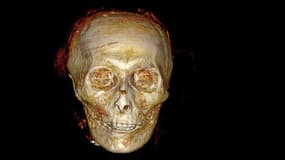 Reconstitution par imagerie médicale du crâne d'Amenhotep Ier. 