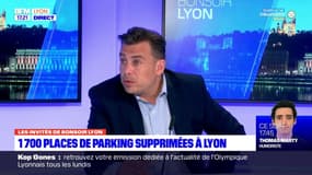 Suppression de places de parking à Lyon: les commerçants de la Presqu'Île inquiets