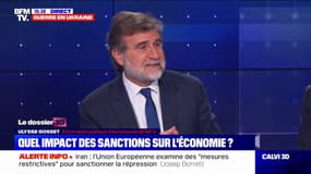 Ulysse Gosset: "La Russie est en train de perdre ses cerveaux"