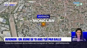 Avignon: un jeune de 19 ans tué par balle