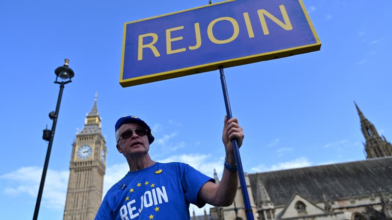 Des centaines voire quelques milliers d'europhiles ont manifesté samedi à Londres en faveur du retour du Royaume-Uni au sein de l'Union européenne.