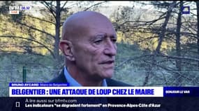 Belgentier: une attaque de loup chez le maire