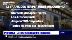 Provence-Alpes-Côte-d'Azur: le trafic des TER perturbé ce mercredi