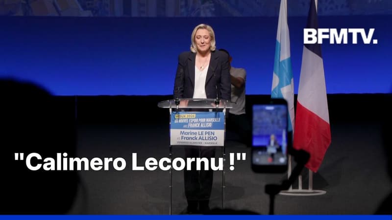 Pour Marine Le Pen, Sébastien Lecornu fait son "Calimero" après l'intervention du Premier ministre