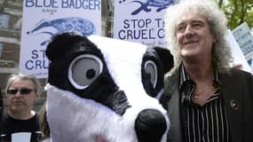 L'ancien guitariste de Queen, Brian May, a pris la tête samedi d'une manifestation de protestation contre le projet des pouvoirs publics d'abattage d'environ 5.000 blaireaux en Grande-Bretagne, dans le cadre de la lutte contre la propagation de la tubercu