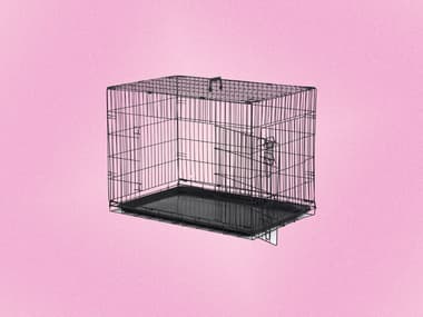 Besoin d’une cage de transport pour votre animal ? Auchan a ce qu’il vous faut à prix abordable