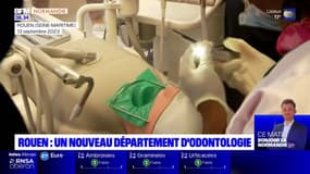 Rouen: un nouveau département d'odontologie inauguré à l'Université