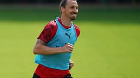 Zlatan Ibrahimovic (AC Milan)