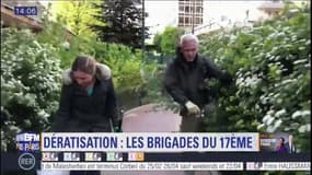 Dans le 17e arrondissement, une brigade citoyenne chasse les rats