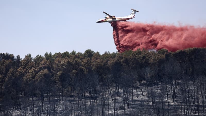 Incendie dans le Var: le préfet annonce ce samedi qu'il n'y a "pas de nouvelle surface impactée"