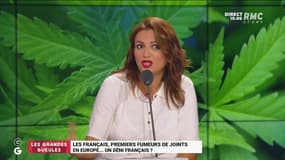 Nous sommes les champions de la consommation de cannabis en Europe : un déni français ? - 20/09