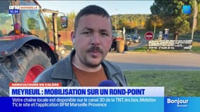 Les agriculteurs provençaux mobilisés sur un rond-point à Meyreuil