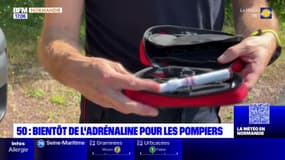 Manche: les sapeurs-pompiers formés à l'injection d'adrénaline