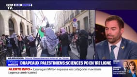 Drapeaux palestiniens dans les universités : 