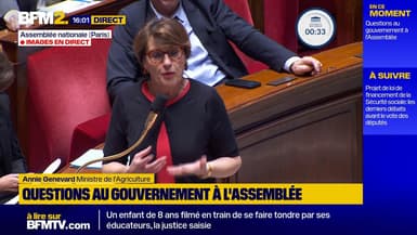 Dermatose nodulaire: "L'ennemi, c'est le virus", répond la ministre Annie Genevard sur la mobilisation d'agriculteurs dans le Doubs