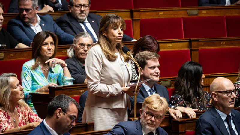 Loi contre les formes renouvelées de l’antisémitisme: le gouvernement renonce à avancer l'examen du texte après une levée de bouclier des députés