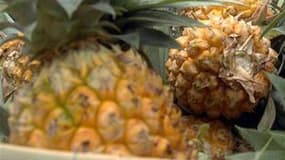 Les ananas de Tahiti sont à l'origine d'un blanc sec dont les qualités gustatives ont surpris les restaurateurs, qui lui voient un bel avenir sur les tables de luxe. /Photo d'archives/REUTERS/Jayanta Dey