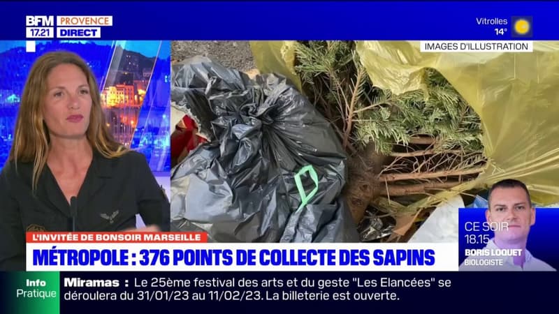 Marseille: le collectif "Poubelle la vie" dénonce le fléau des sapins déposés en pleine rue