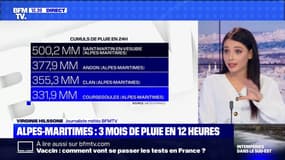 Alpes-Maritimes: 3 mois de pluie en 12 heures - 03/10