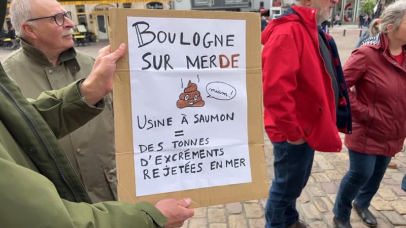 Boulogne-sur-Mer: des militants d'Extinction Rebellion manifestent contre l'implantation d'une ferme-usine de saumons