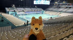 Le doudou renard retrouvé à Pierre-Mauroy