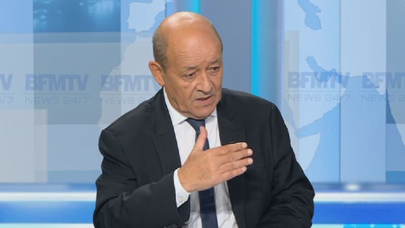 Le ministre de la Défense, Jean-Yves Le Drian