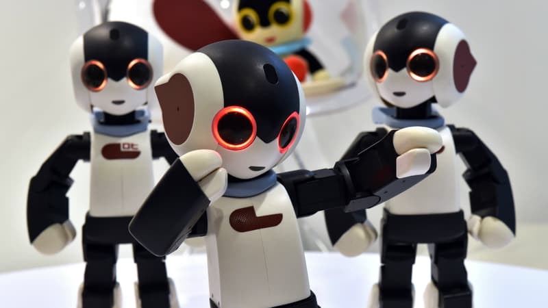 Robi, le petit robot japonais à monter soi-même commercialisé en 2014 dans l'équivalent italien de Pif Gadget