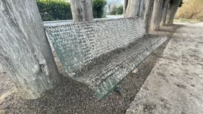 Depuis décembre 2023, quelques 20.000 étourneaux ont pris leur quartier dans les cyprès de Peyrolles, causant des désagréments.