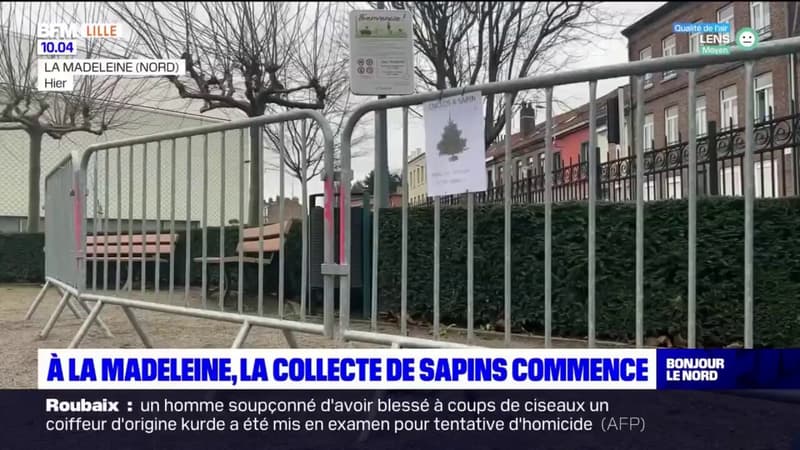 La Madeleine: la collecte des sapins de Noël commence