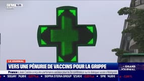 Vers une pénurie de vaccins pour la grippe?