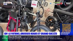 Île-de-France: le succès du fatbike, un vélo tout-terrain aux roues extra larges