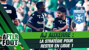 Ligue 1 / Auxerre : La stratégie pour se maintenir