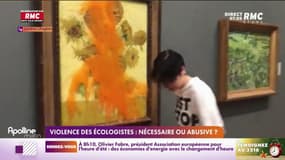 Violence des écologistes: nécessaire ou abusive? 