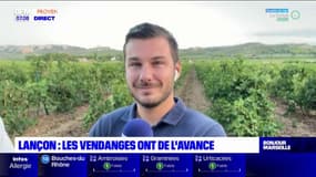 Conséquence de la météo, les vendanges ont de l'avance à Lançon-Provence