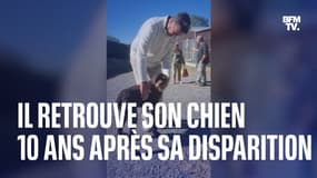 Un chien retrouve ses maîtres en Lozère, 10 ans après avoir disparu dans le Vaucluse