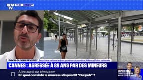 "Il y a une inertie assez coupable de la justice", dénonce ce syndicaliste policier à propos de la violente agression d'une octogénaire à Cannes