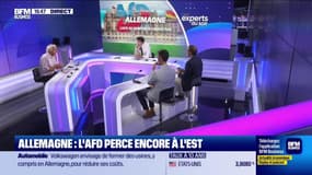 Allemagne : l'AfD perce encore à l'est - 02/09