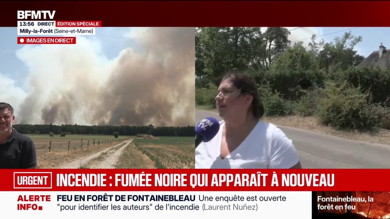 Fontainebleau Ormanı Yangını: "Bir veya İki Bavul Hazırladım, Gitmem Gerekirse Hazırım" Diyor Ormana Yakın Bir Sakin