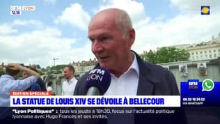 "La statue avait besoin de travaux": l'architecte des monuments historiques de Lyon revient sur la rénovation de la statue de Louis XIV