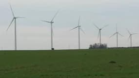 Le Grenelle encourage fortement le secteur de l'éolien
