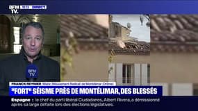 Dégâts liés au séisme: "Montélimar a été plutôt épargnée" (maire de Montélimar)