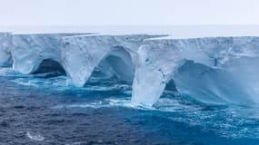 L'iceberg A23a pris en photo lors d'une expédition scientifique le 19 janvier 2024