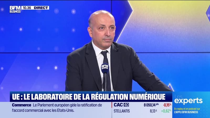 Les Experts : UE, le laboratoire de la régulation numérique - 21/01
