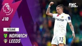 Résumé : Norwich 1-2 Leeds United – Premier League (J10)