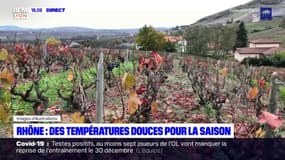 Rhône : des températures douces pour la saison