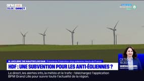 Hauts-de-France: une subvention pour les anti-éoliennes?