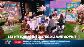 Les histoires insolites d'Anne-Sophie