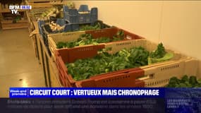 Circuit court: la solution ultime pour mieux rémunérer les agriculteurs? 